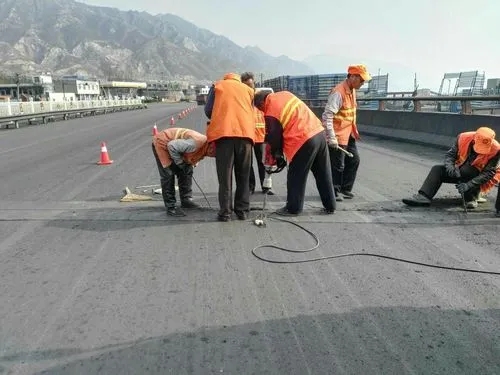 张家港道路桥梁病害治理